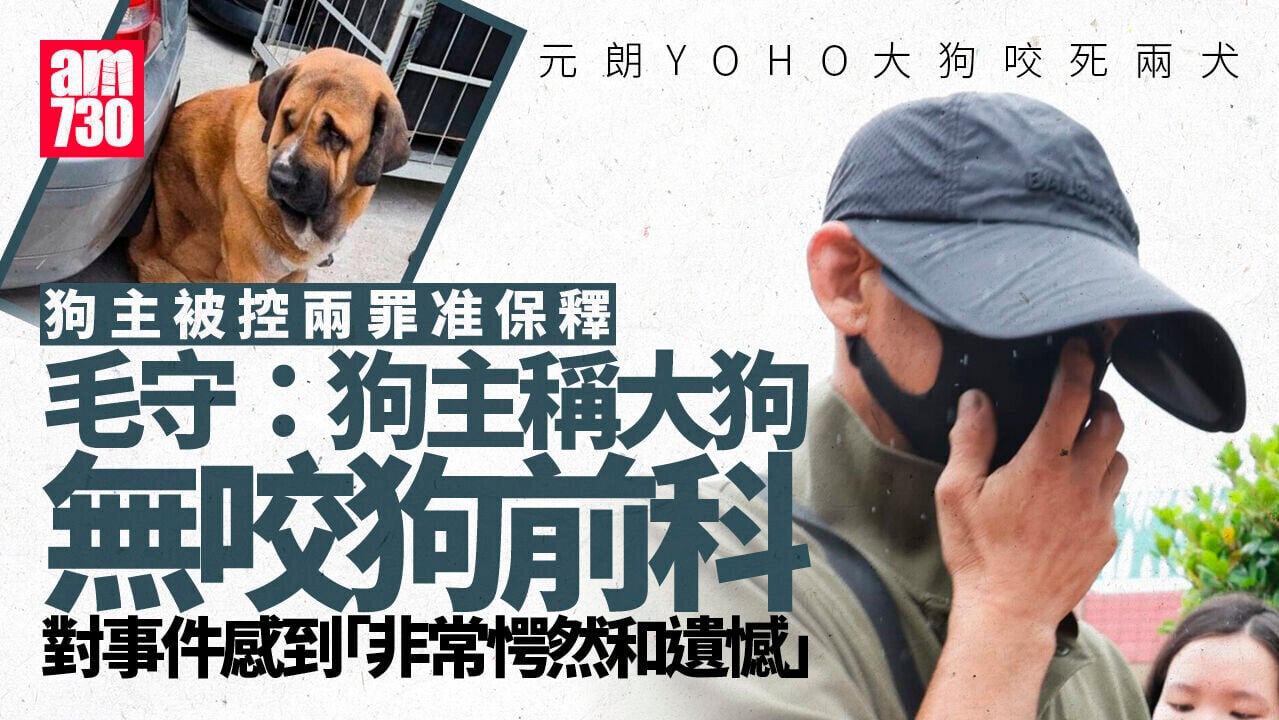 元朗「狗咬狗」52歲男狗主被控兩罪准保釋 毛守：狗主對事件「非常愕然及遺憾」