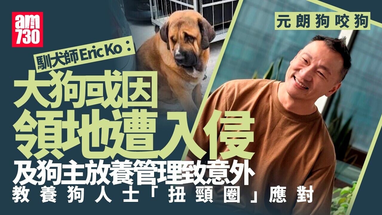 元朗狗咬狗｜馴犬師Eric Ko拆解預警訊號 揭危急關頭應對絕招