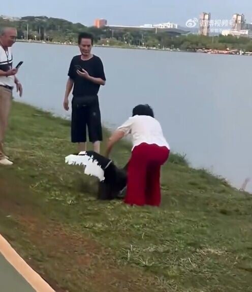 其後同行友人似乎聽到勸諭,才著大媽放過黑天鵝。(微博)