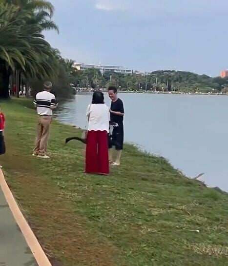 捉鵝大媽拍照後未有放開黑天鵝,更呼喚遠處友人「快點過來」,似乎要把黑天鵝留給對方拍照。(微博)