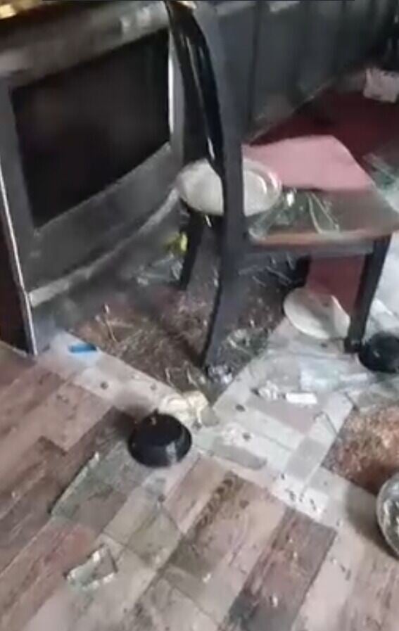 美國肯塔基州發生野熊入屋事件,玻璃枱被打爛