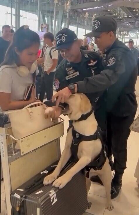 幸領犬員及另一警員及時發現,立即從蒸蛋取回旅客的掛飾,並把蒸蛋拉開。(FB)