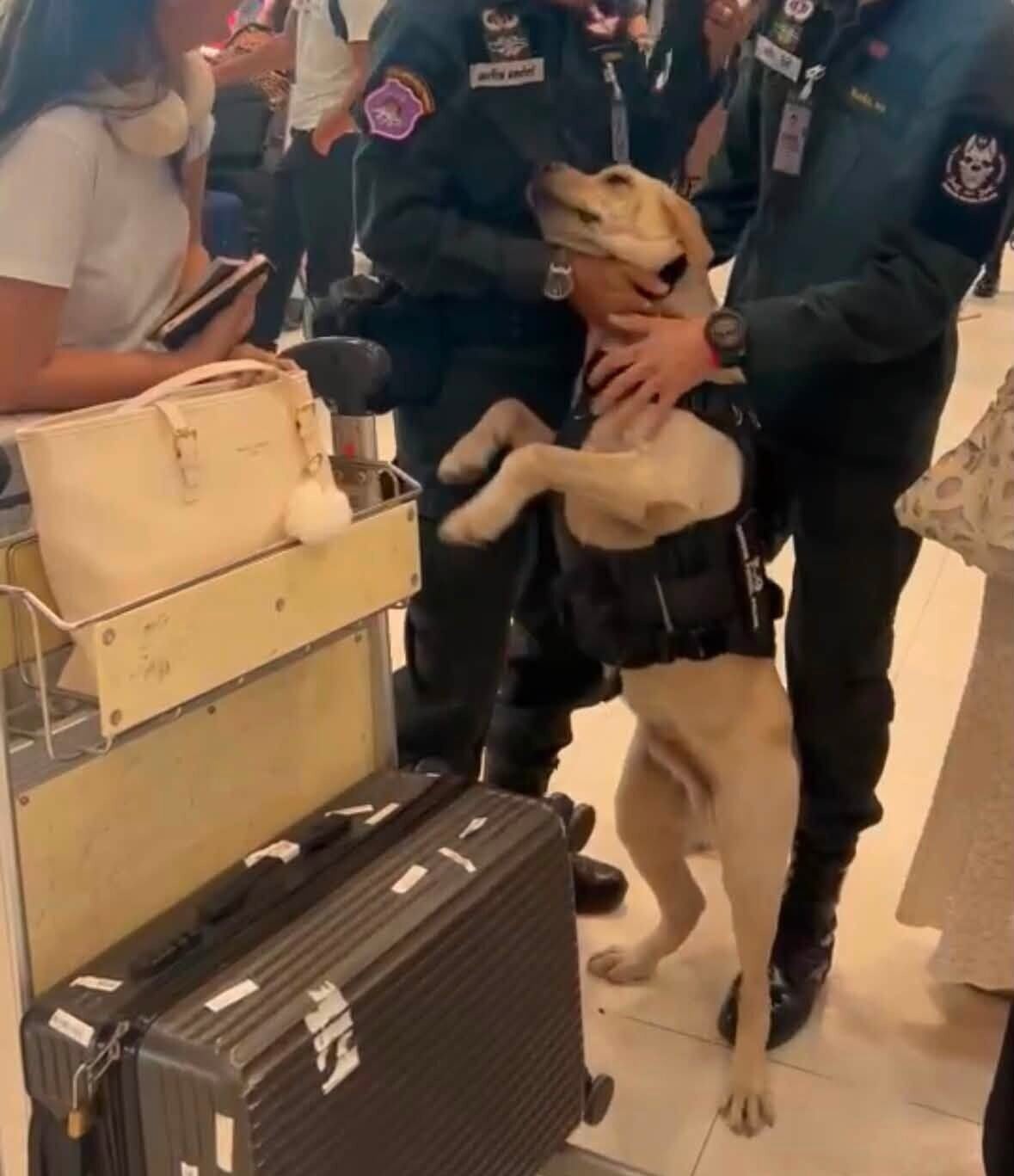 幸領犬員及另一警員及時發現,立即從蒸蛋取回旅客的掛飾,並把蒸蛋拉開。(FB)