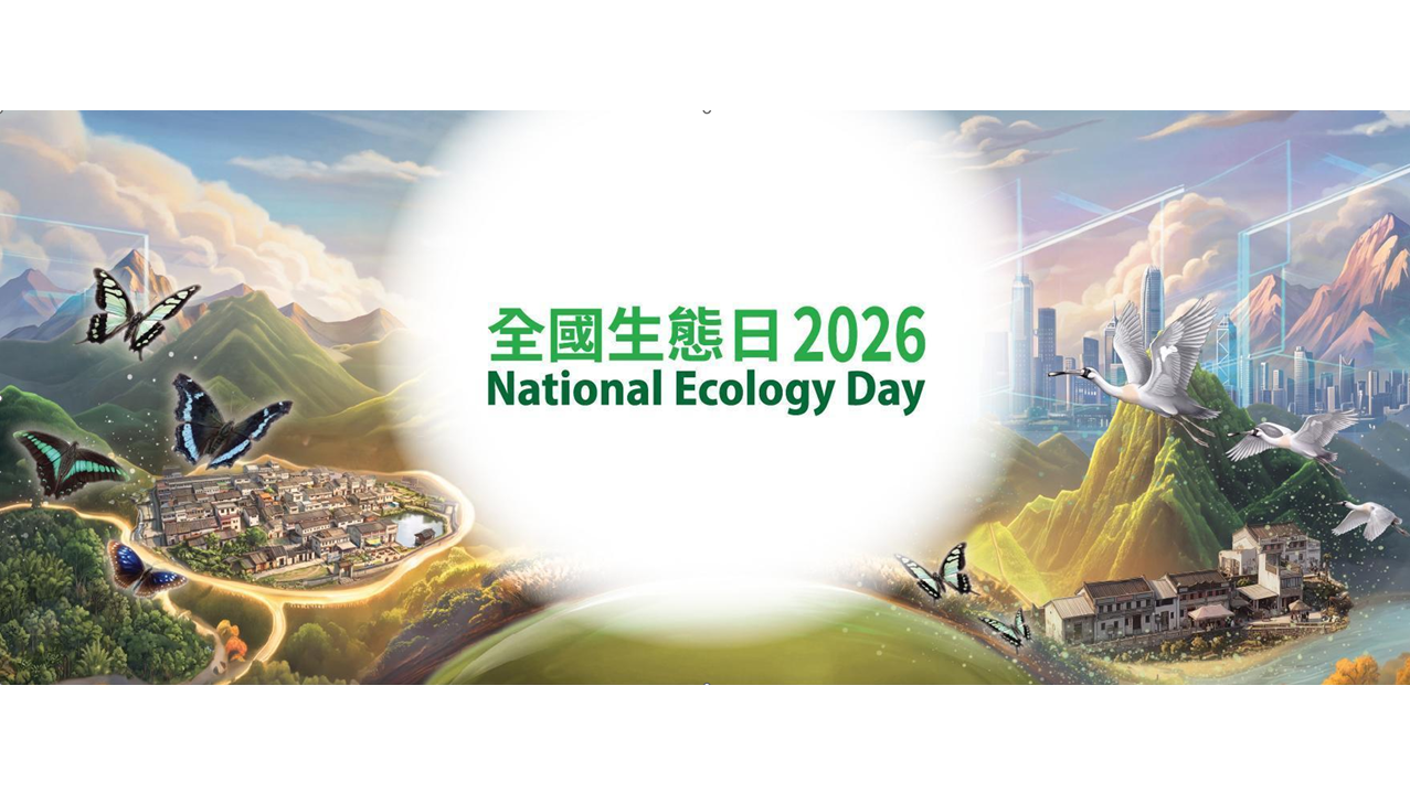 螢幕擷取畫面 2026 08 20 205317