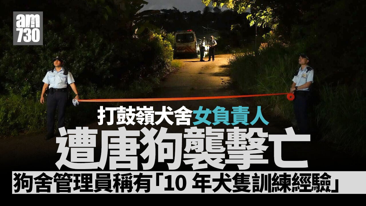 打鼓嶺狗咬人｜狗舍管理員稱有「10年犬隻訓練經驗」　30公斤唐狗入住10日