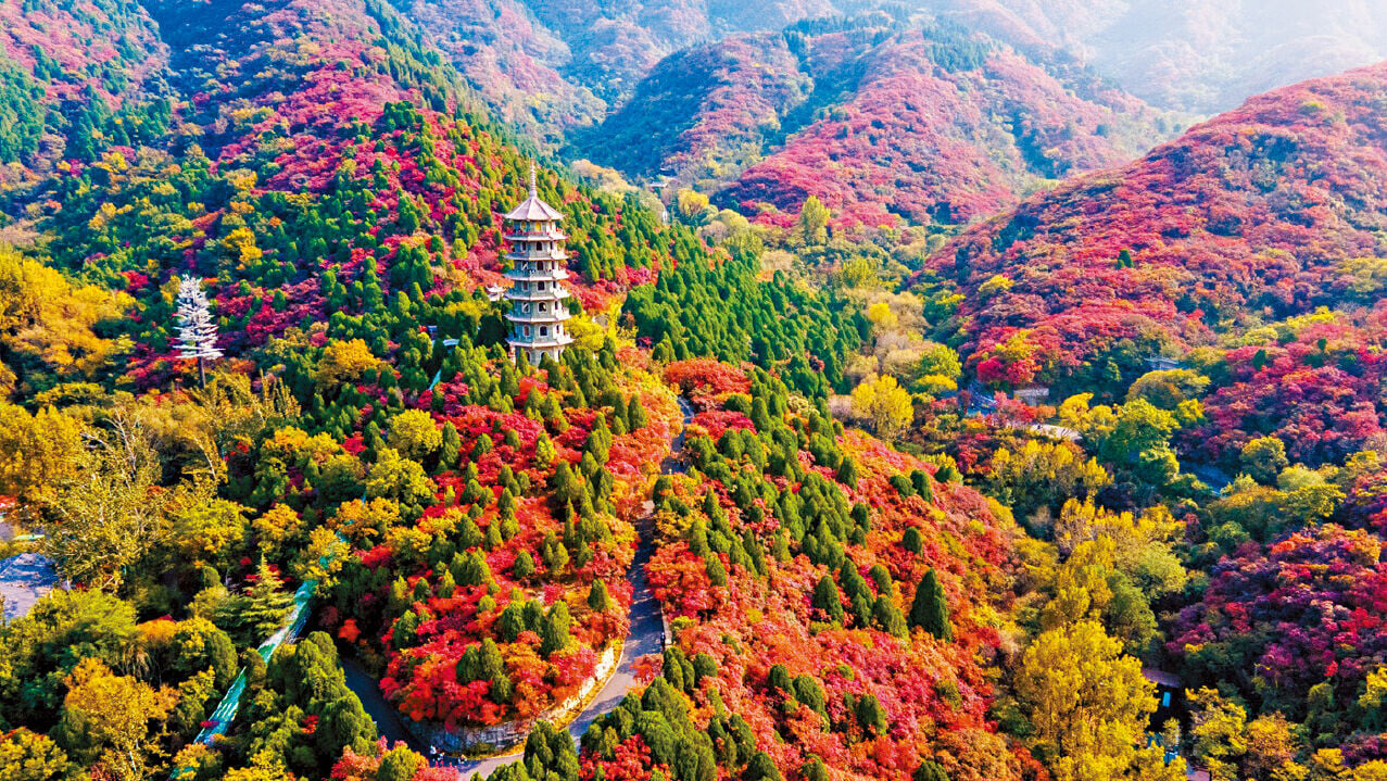 【秋意山東】環遊6天純玩團