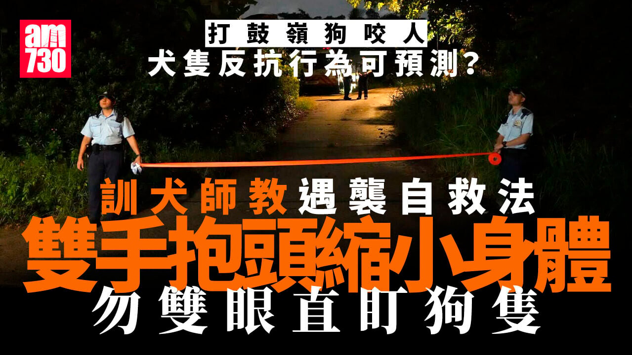 打鼓嶺狗咬人｜訓犬師料壓力恐懼累積釀悲劇　遇狗隻襲擊可抱頭縮小身體