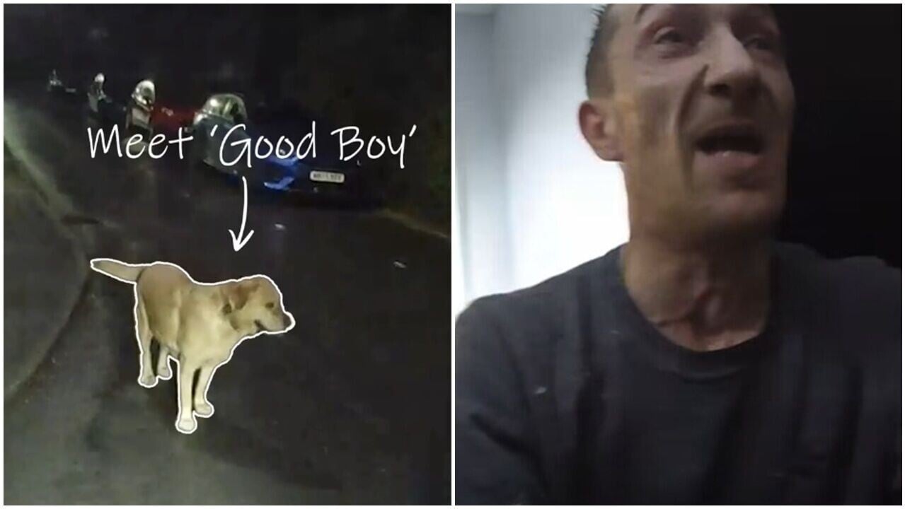 男子遇查逃跑竟丟下狗狗，拉布拉多回家順便帶警察找到主人。(FB)