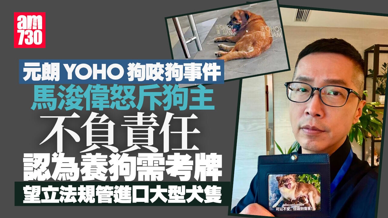 元朗狗咬狗｜馬浚偉怒斥狗主不負責任 提倡安全方案救「拉里」
