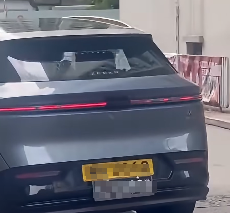 涉事車輛掛有兩地牌。(影片截圖)