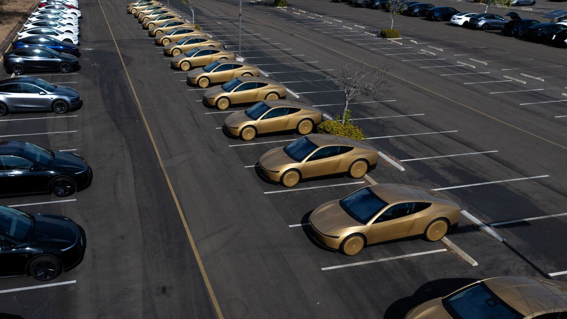 TESLA  CYBERCAB