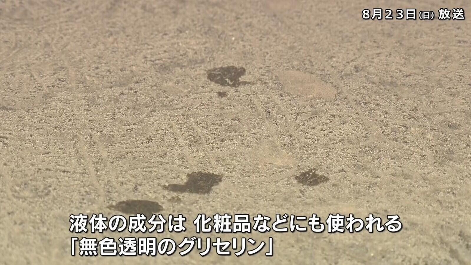 無色透明甘油被潑灑到日本奈良世界遺產藥師寺「佛足石」上,造成1至2厘米的污漬