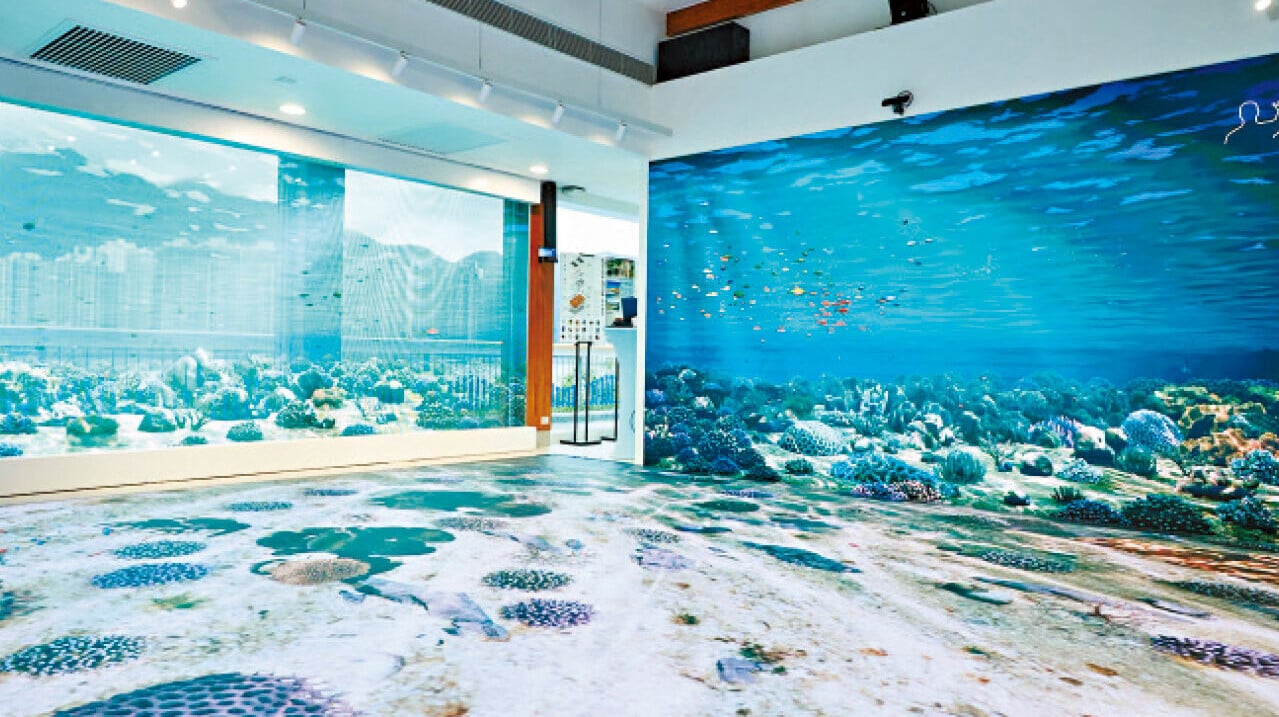 馬料水「地海森居」啟用 冀成生態旅遊聚腳點