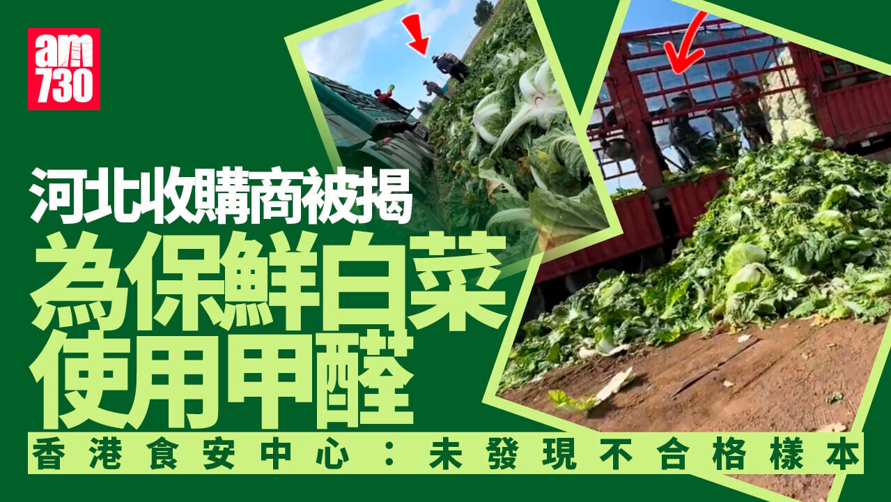 河北甲醛白菜｜ 港食安中心：加強檢測未發現不合格樣本