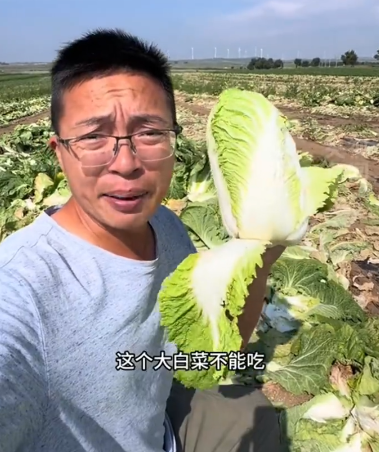 內地網絡博主「漁獵齊哥」揭發河北省張家口市康保縣被揭有收購商違規使用致癌物「甲醛溶液」灑上白菜保鮮。(影片截圖)