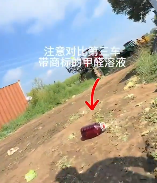 內地網絡博主「漁獵齊哥」揭發河北省張家口市康保縣被揭有收購商違規使用致癌物「甲醛溶液」灑上白菜保鮮。(影片截圖)