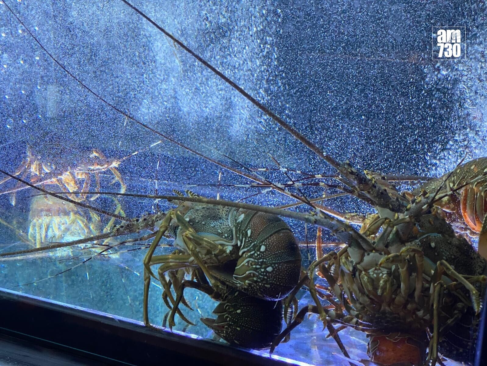 Raw seafood