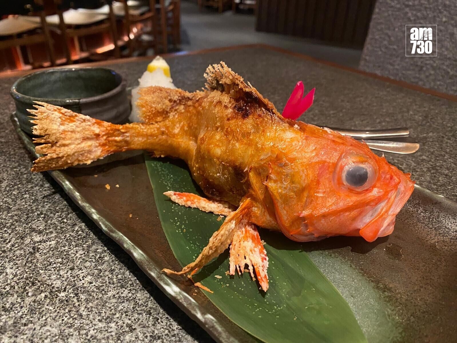 Fish