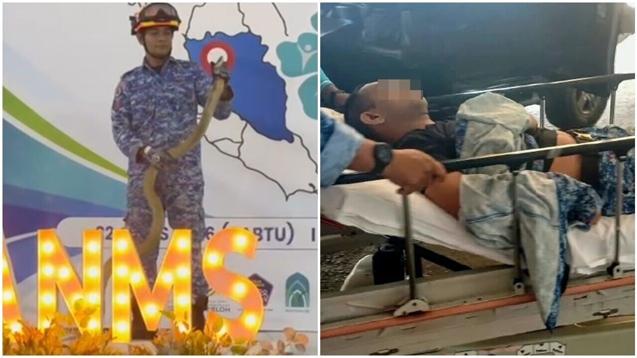 示範捉蛇反遭眼鏡王蛇咬，民防隊員遺下一句：我中招了。(X)