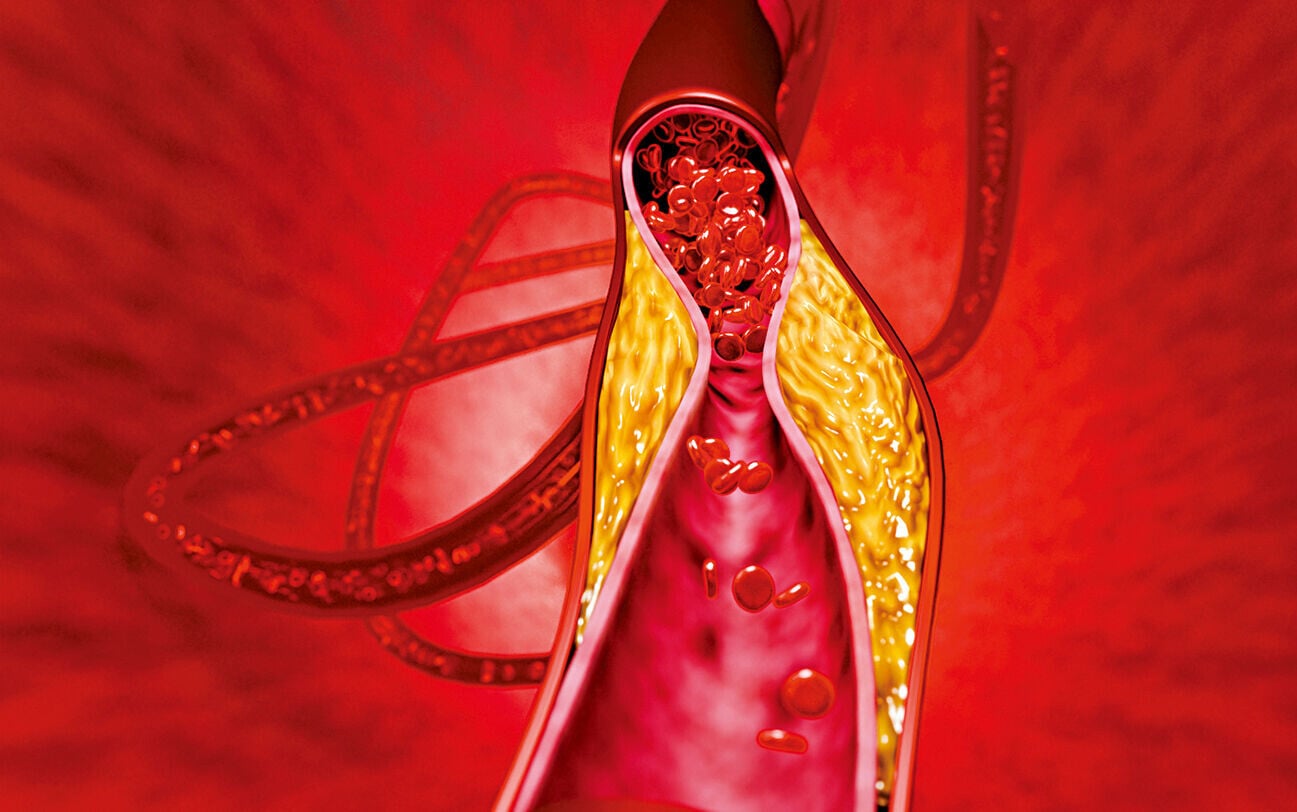 Health 4col 2269314386