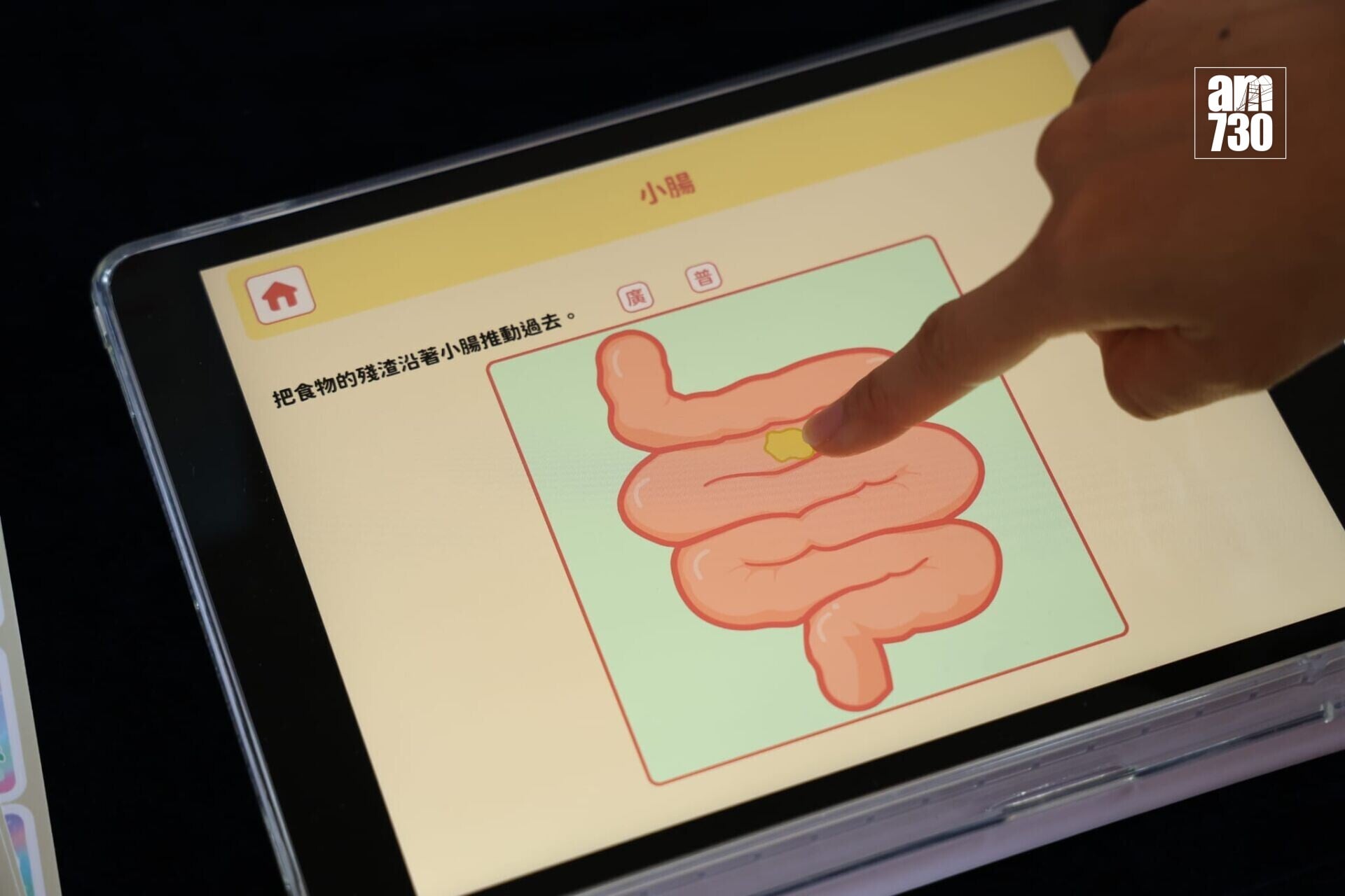 教材結合智能骰子及流動裝置,讓學生透過手動操作理解抽象的人體消化過程。(林俊源攝)