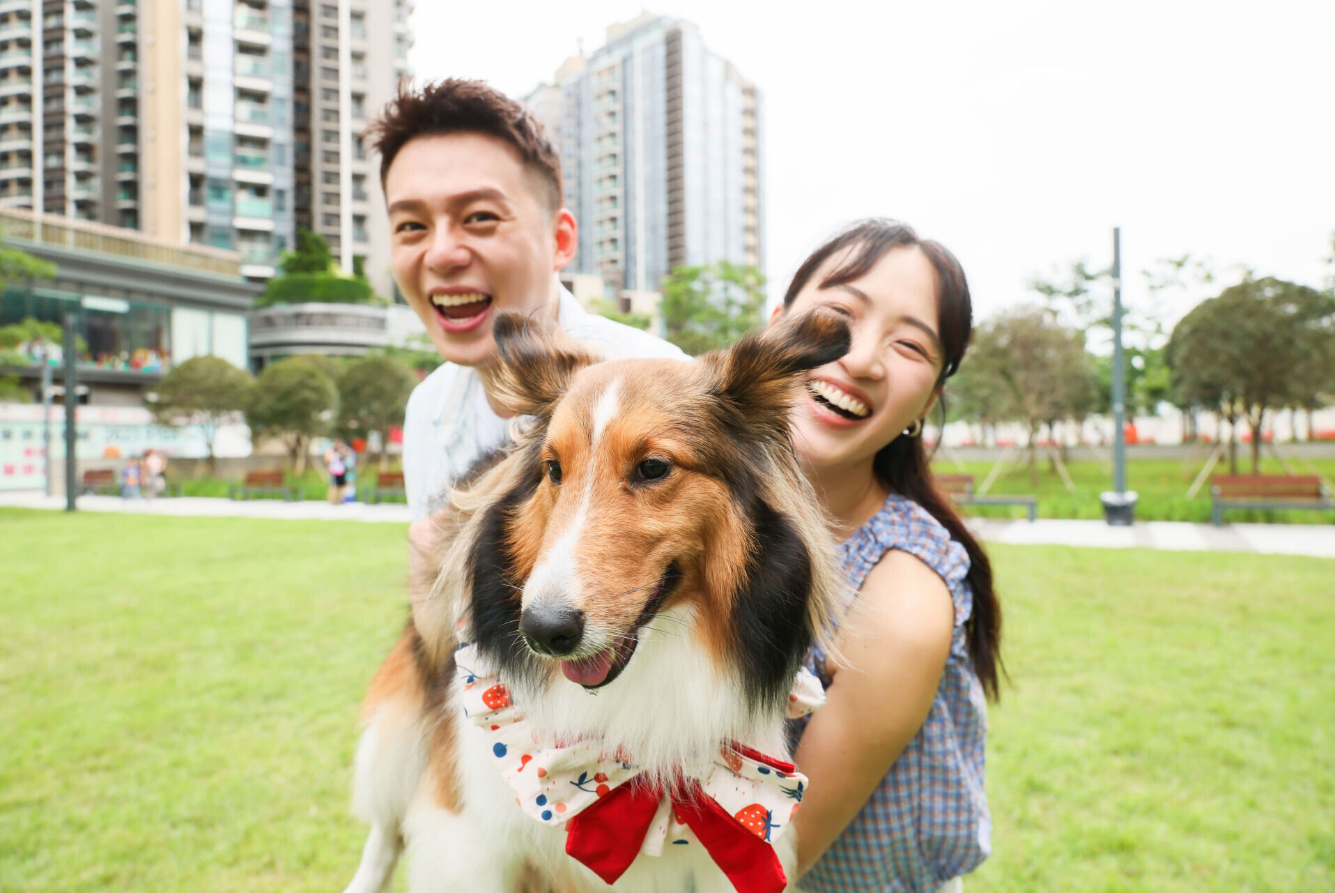 「寵愛Chill健康Summer School」全面照顧毛孩身、心、靈所需