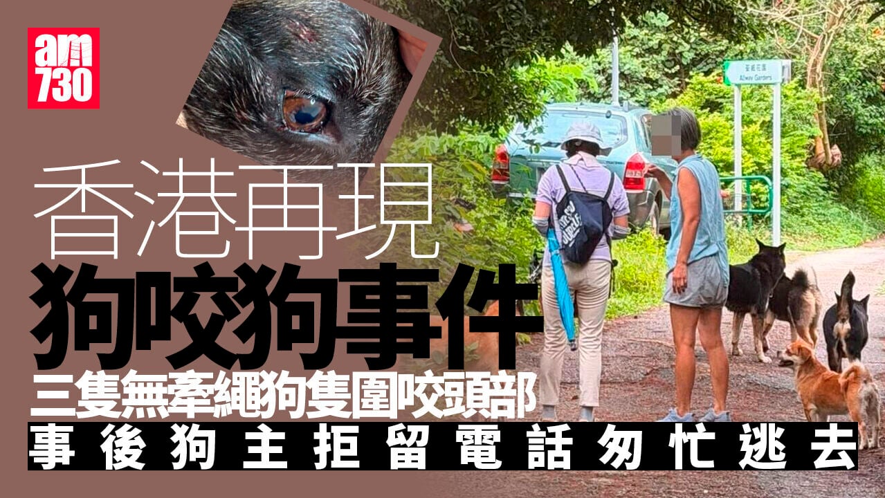 荃灣現狗咬狗事件　遭3隻無牽繩狗隻咬傷頭部