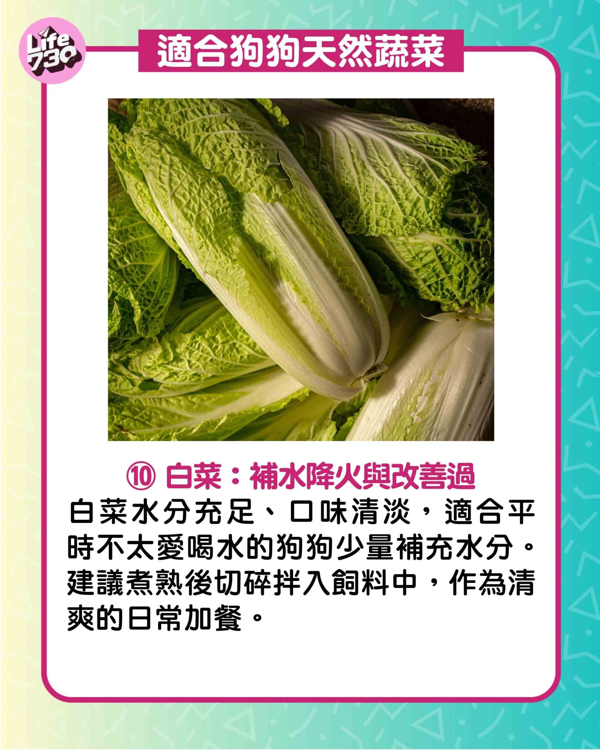 適合狗狗天然蔬菜10. 白菜:補水降火與改善過