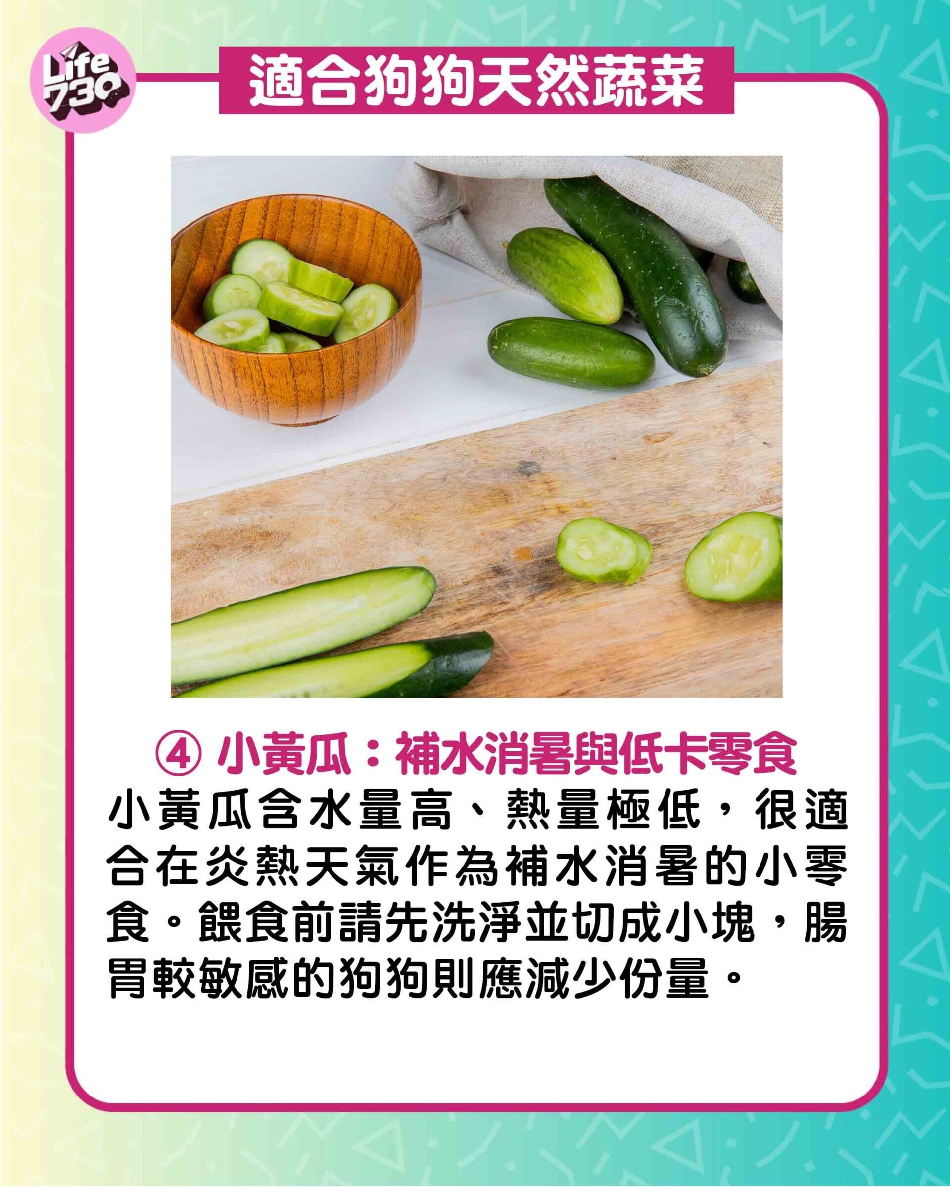 適合狗狗天然蔬菜4. 小黃瓜:補水消暑與低卡零食