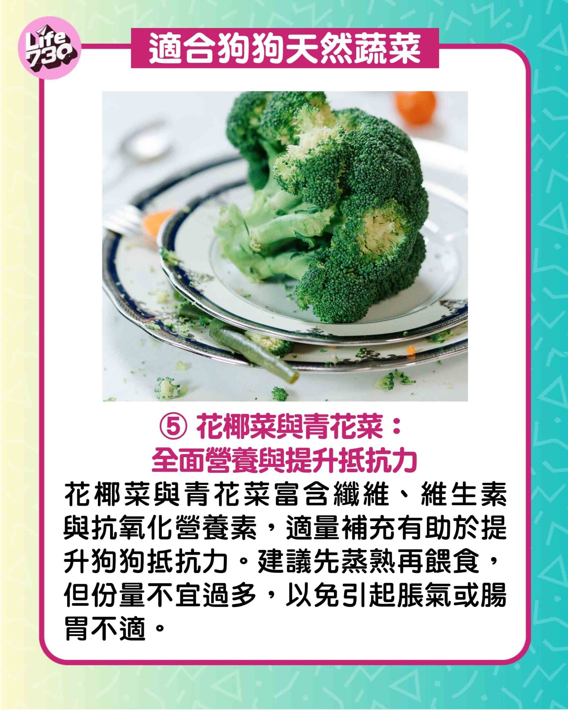 適合狗狗天然蔬菜5. 花椰菜與青花菜:全面營養與提升抵抗力