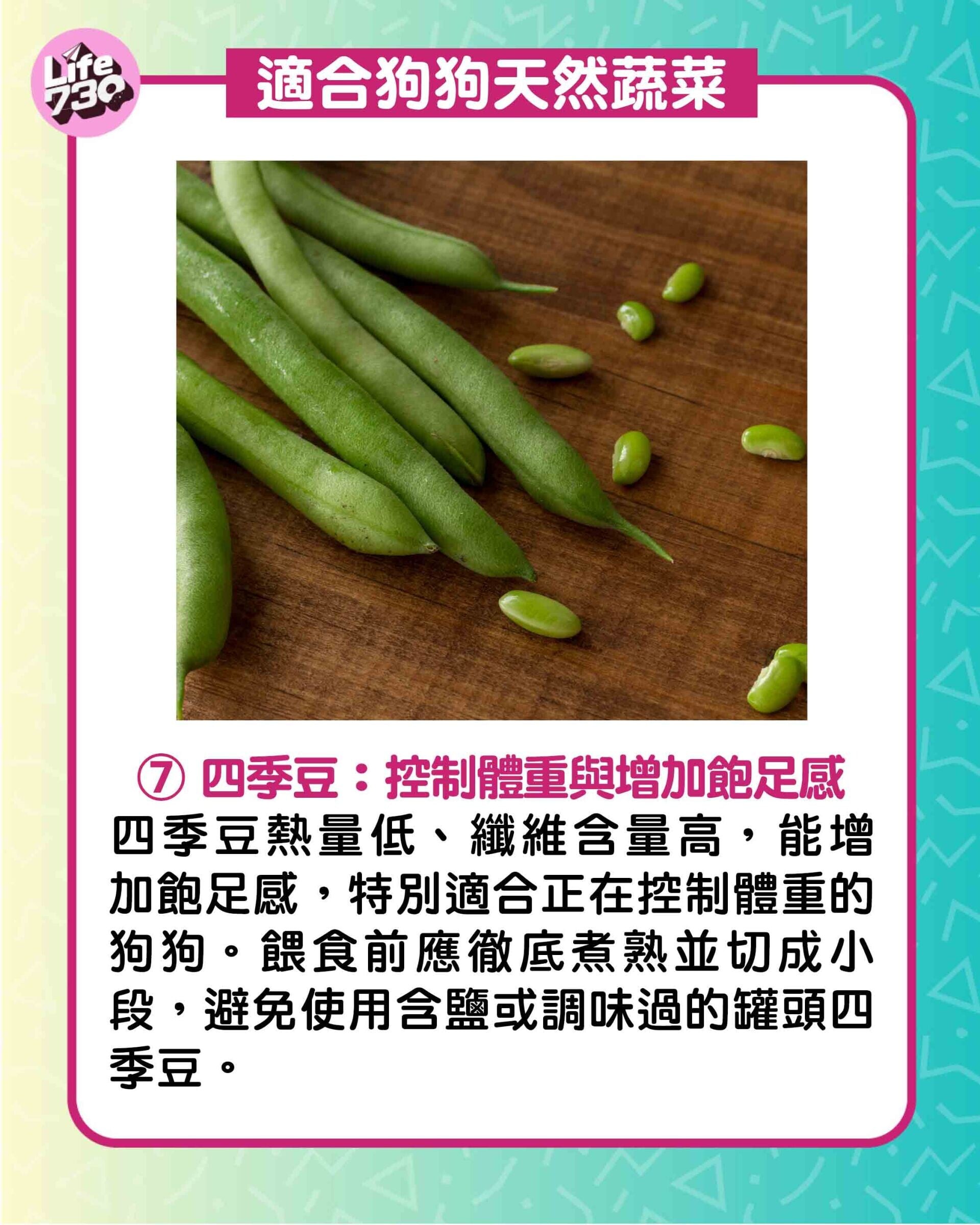 適合狗狗天然蔬菜7. 四季豆:控制體重與增加飽足感