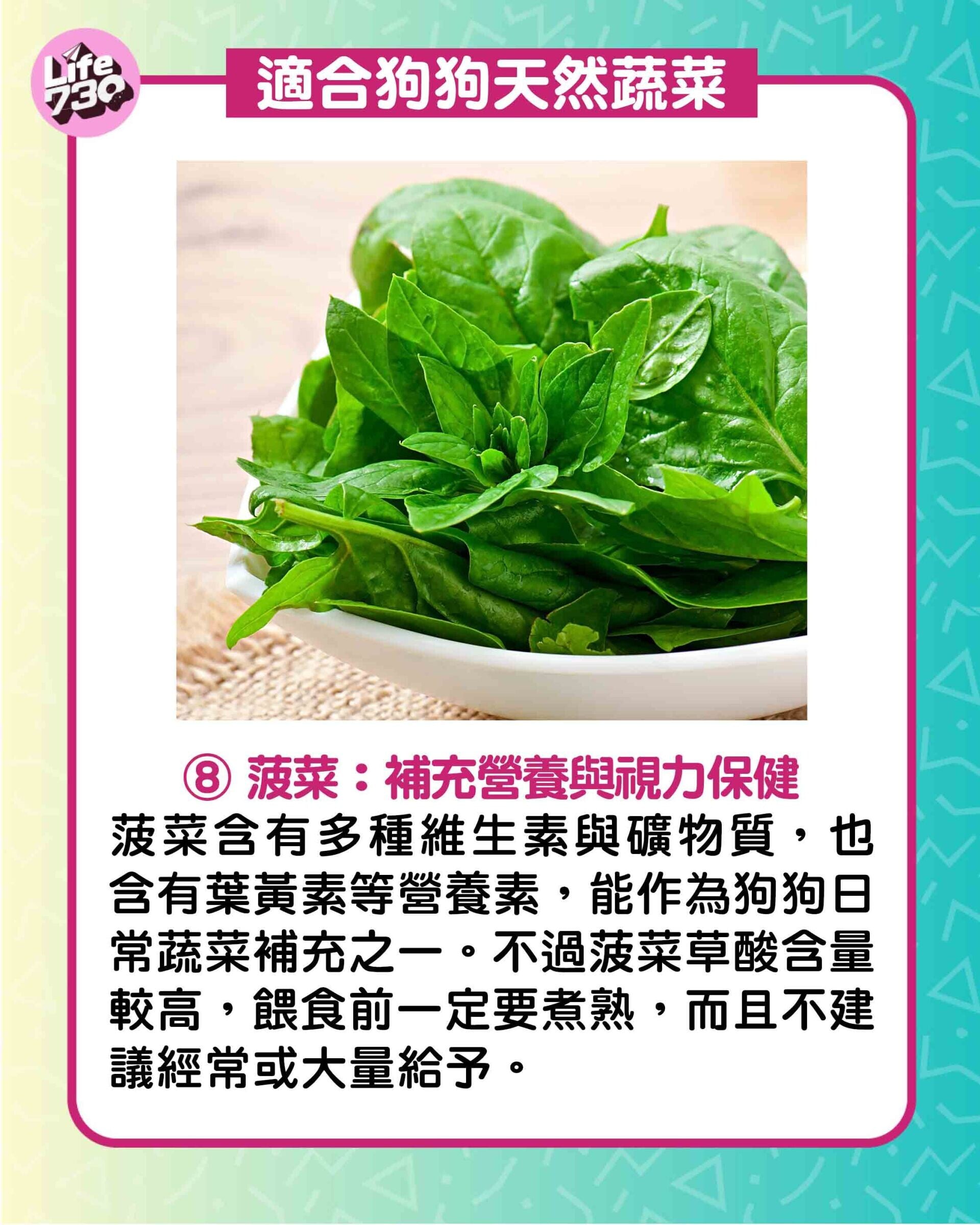 適合狗狗天然蔬菜8. 菠菜:補充營養與視力保健
