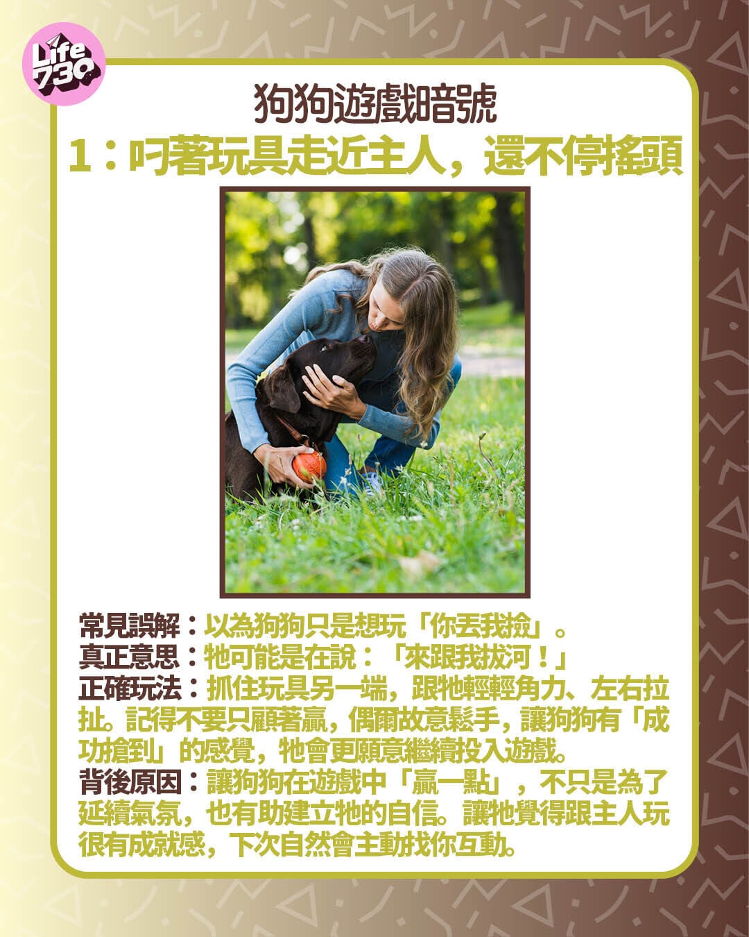 狗狗遊戲暗號1:叼著玩具走近主人,還不停搖頭