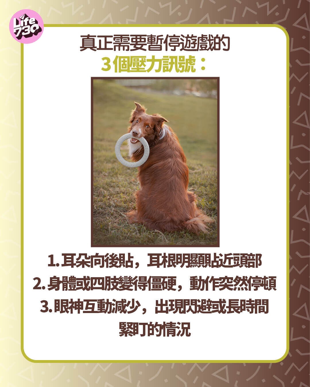 真正需要暫停遊戲的 3 個壓力訊號