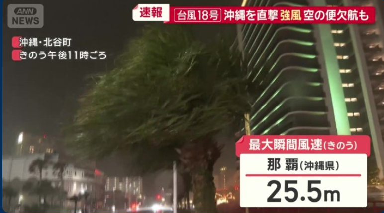 颱風沙德爾|吹襲日本釀最少5傷 沖繩女遊客遭招牌擊中頭(有片)