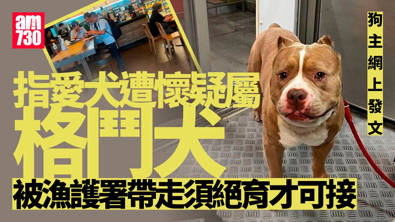 漁護署赤柱帶走懷疑格鬥犬　狗主為犬隻絕育後才可接回