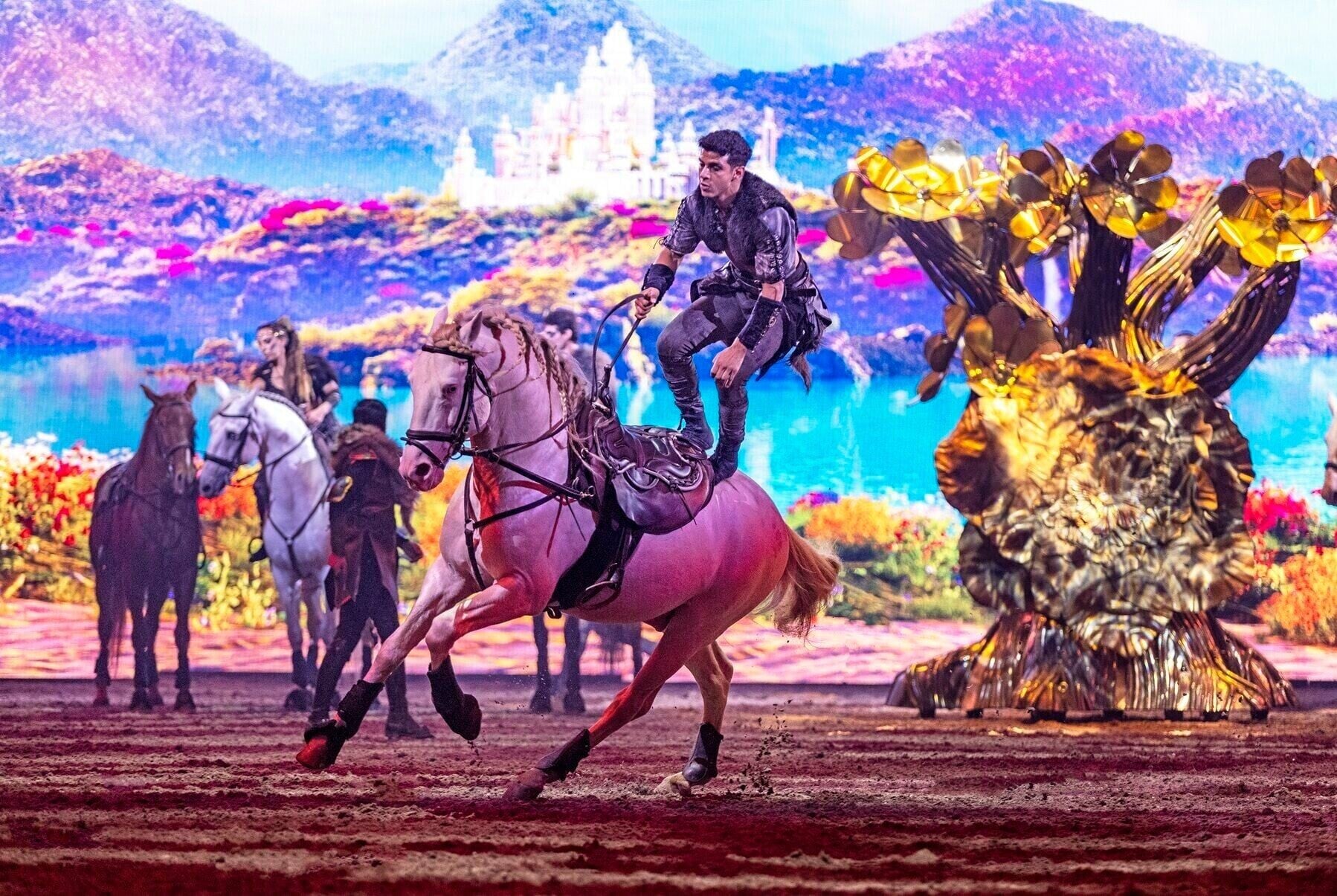 05 馴馬師與駿馬展現人馬之間那份超越言語的信任與默契