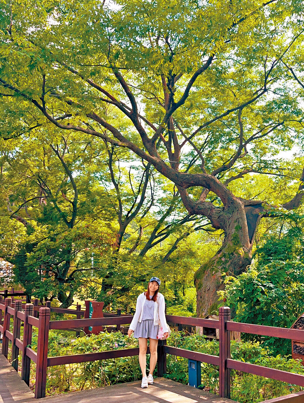 Travel 3col IMG 9324 VSCO