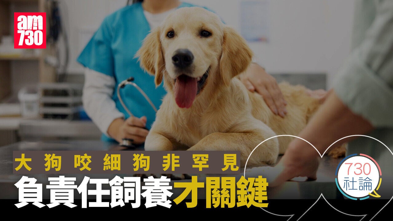 大狗咬細狗非罕見 負責任飼養才關鍵