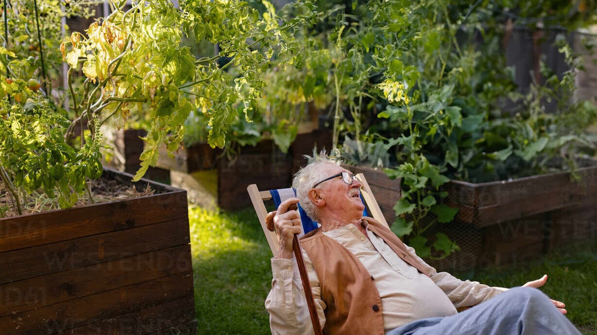 Portrait of smiling senior man resting after taking care vegetable plants in urban garden urban gardening in community garden making pensioner happy and cures his depression HPIF34553