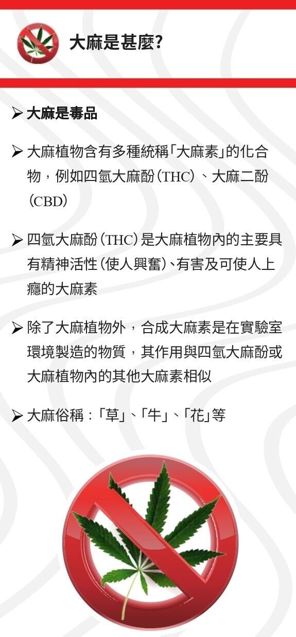 毒品大麻|甚麼是大麻?(禁毒處)