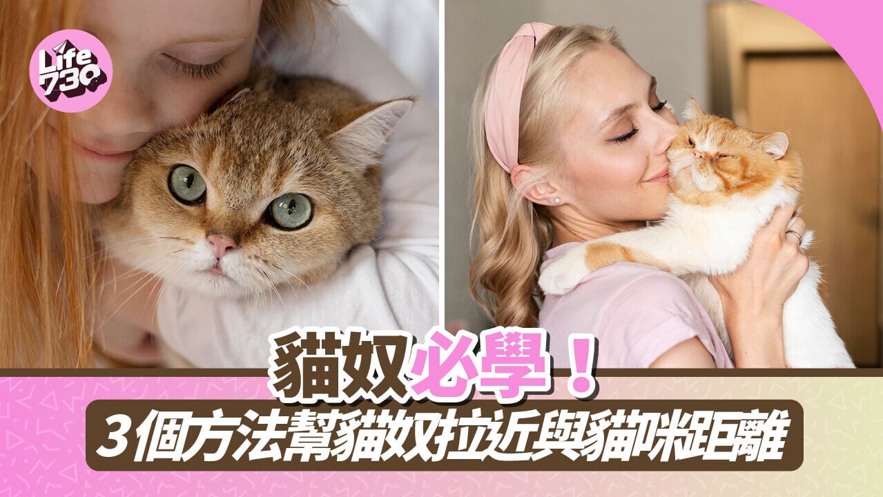 貓奴必學！3個方法幫貓奴拉近與貓咪距離