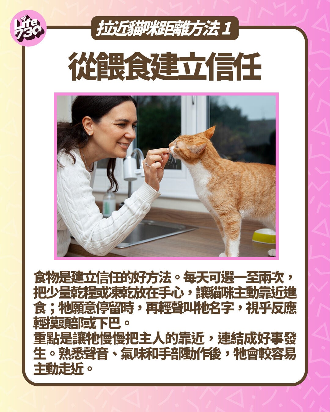 拉近貓咪距離方法1. 從餵食建立信任