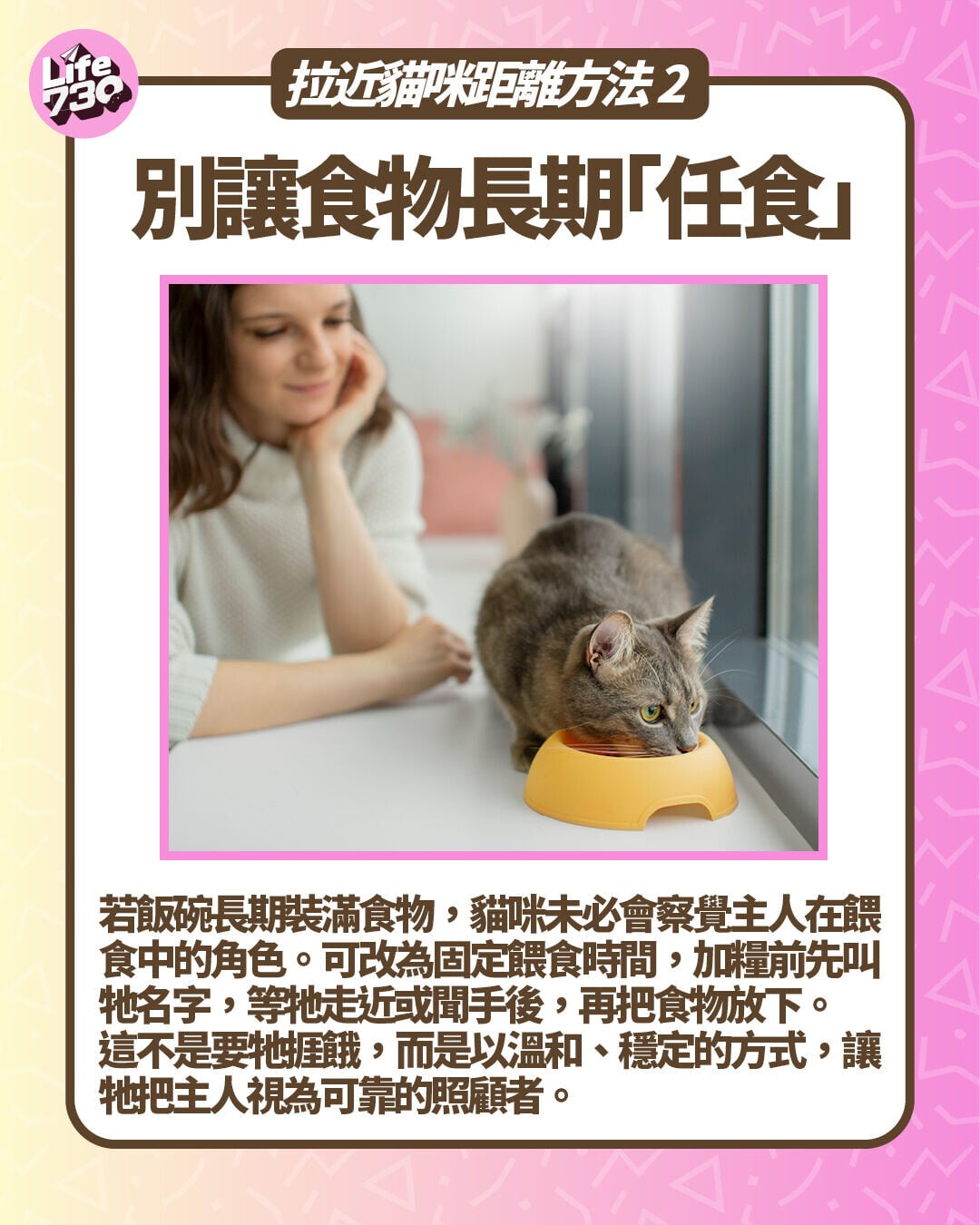 拉近貓咪距離方法2. 別讓食物長期「任食」