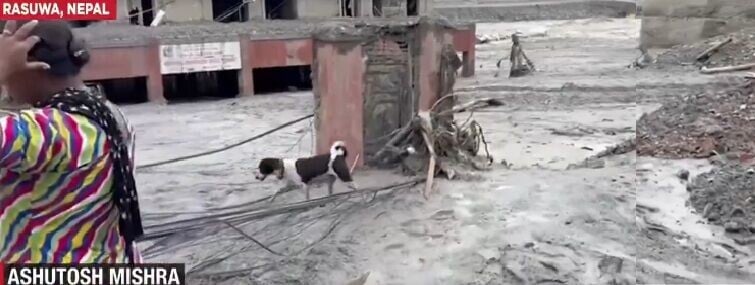 西藏尼泊爾泥石流