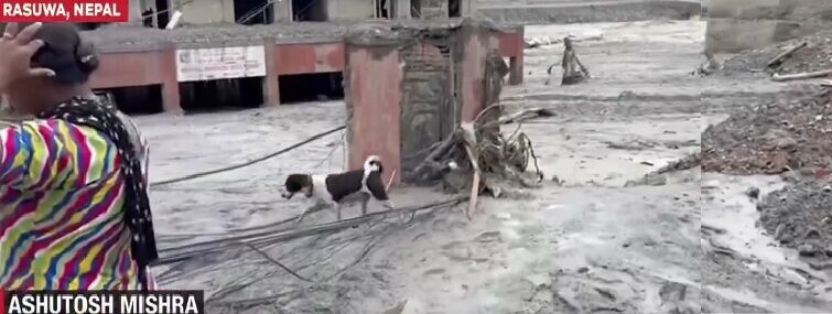 西藏尼泊爾泥石流