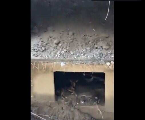 西藏尼泊爾泥石流
