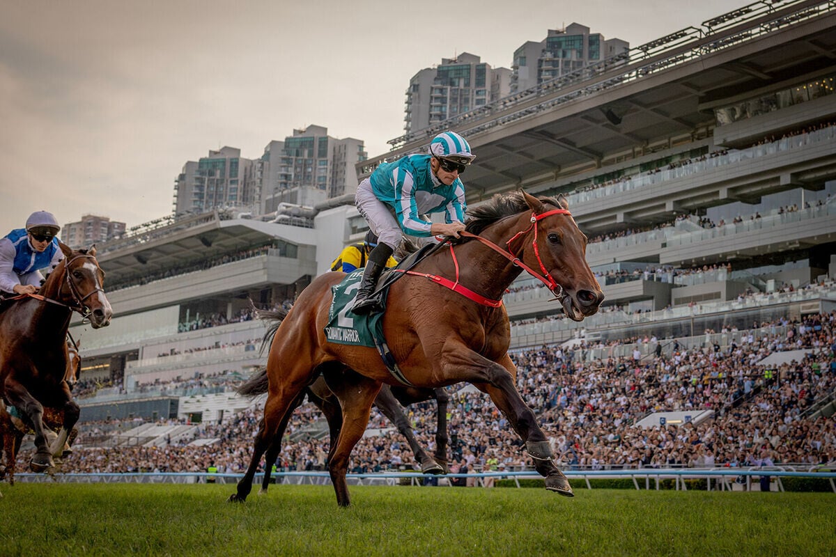 香港賽馬會宣布,馬王「浪漫勇士」因傷退役。(資料圖片/馬會圖片)
