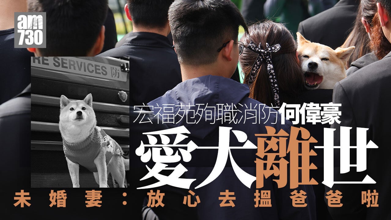 大埔宏福苑五級火｜殉職消防何偉豪愛犬「多多」回汪星 未婚妻：放心去搵爸爸