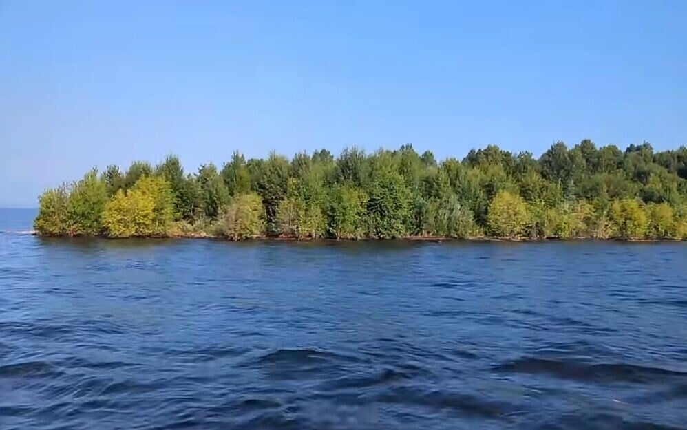 推斷小島由漂木堆積加上植物和樹木紮根而成。(X)